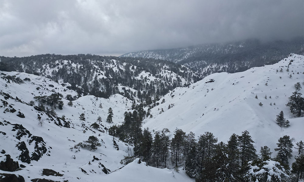 Troodos Winter Wonderland